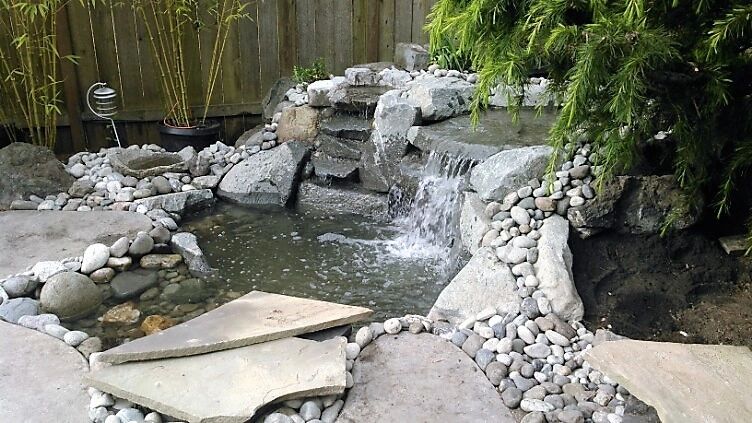 Backyard pond and waterfall water feature